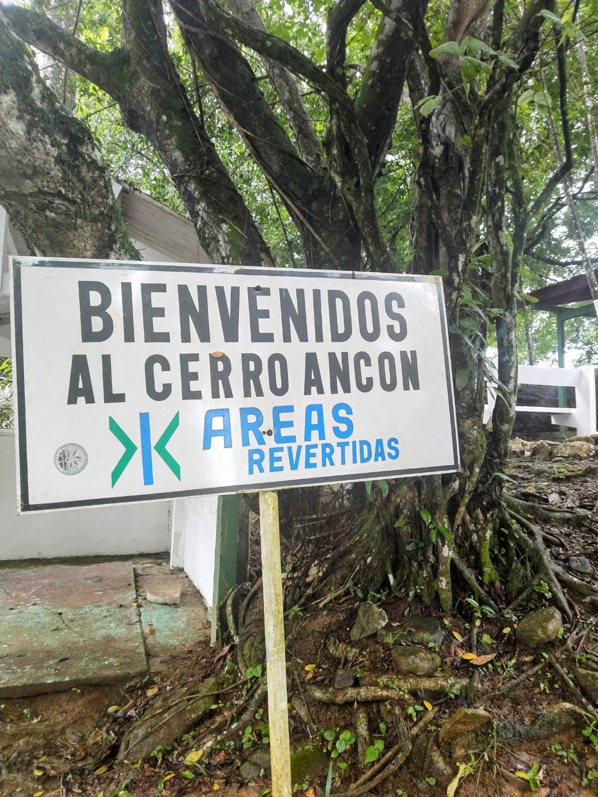 City Hiking and Panama Canal - Image 4